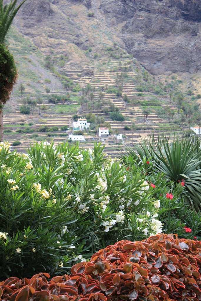 Foto de La Gomera (Santa Cruz de Tenerife), España