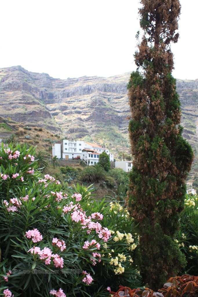 Foto de La Gomera (Santa Cruz de Tenerife), España