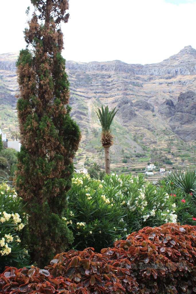 Foto de La Gomera (Santa Cruz de Tenerife), España