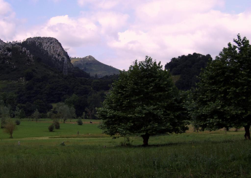 Foto de La Cavada (Cantabria), España