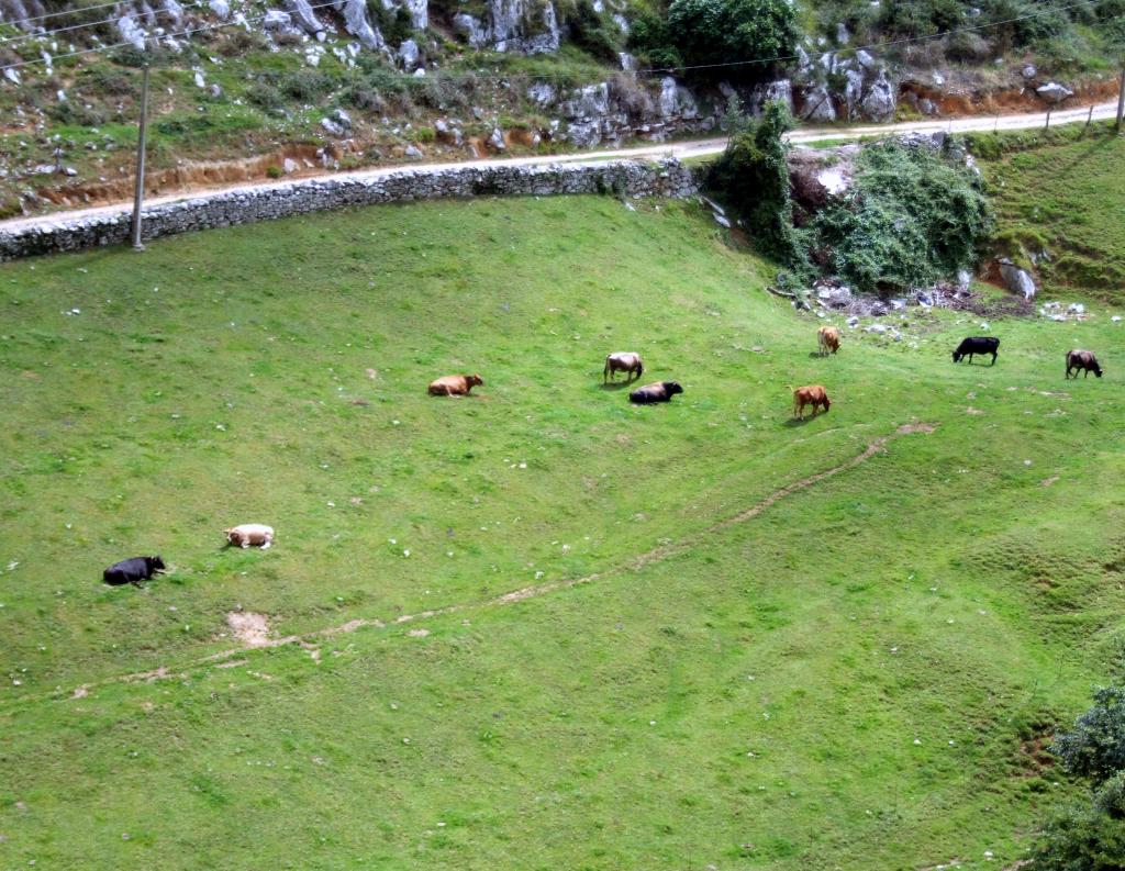 Foto de La Cavada (Cantabria), España