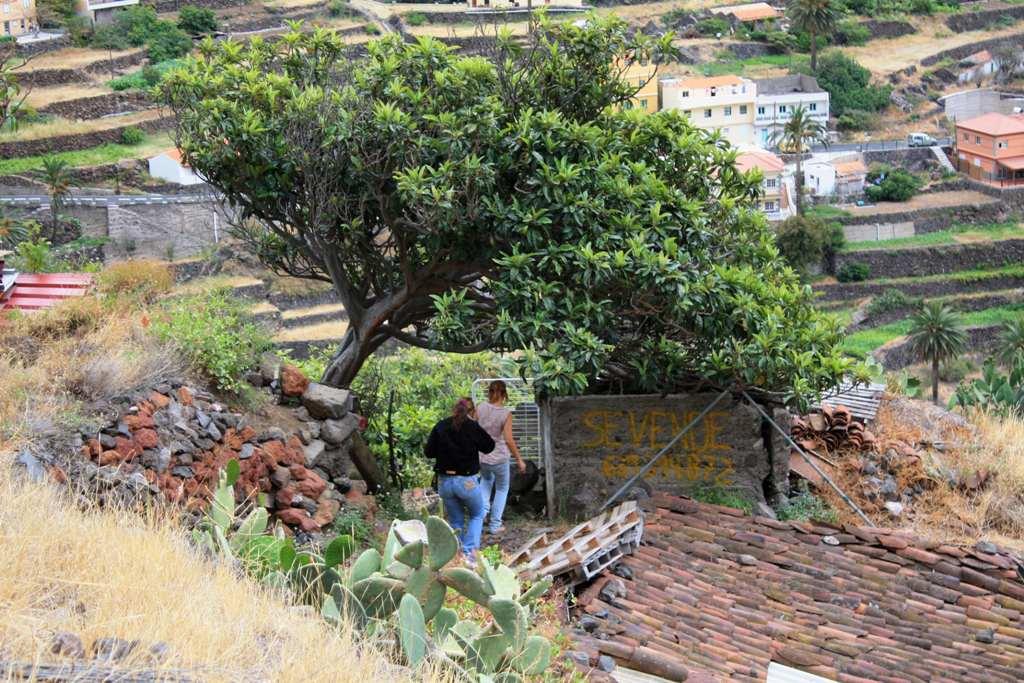 Foto de La Gomera (Santa Cruz de Tenerife), España