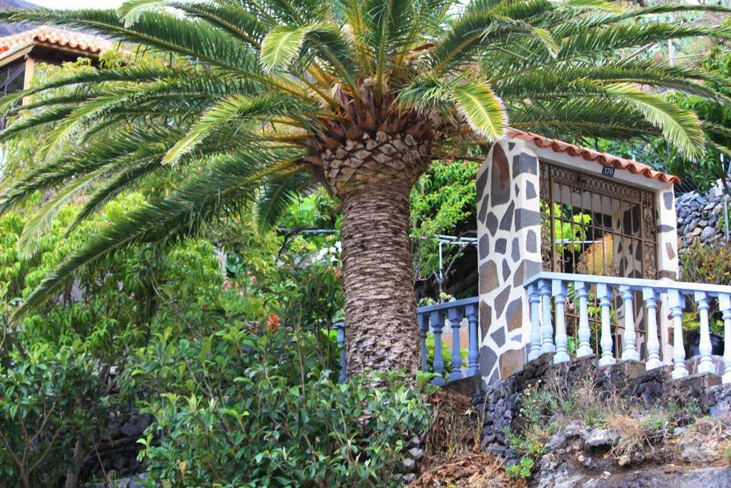 Foto de La Gomera (Santa Cruz de Tenerife), España