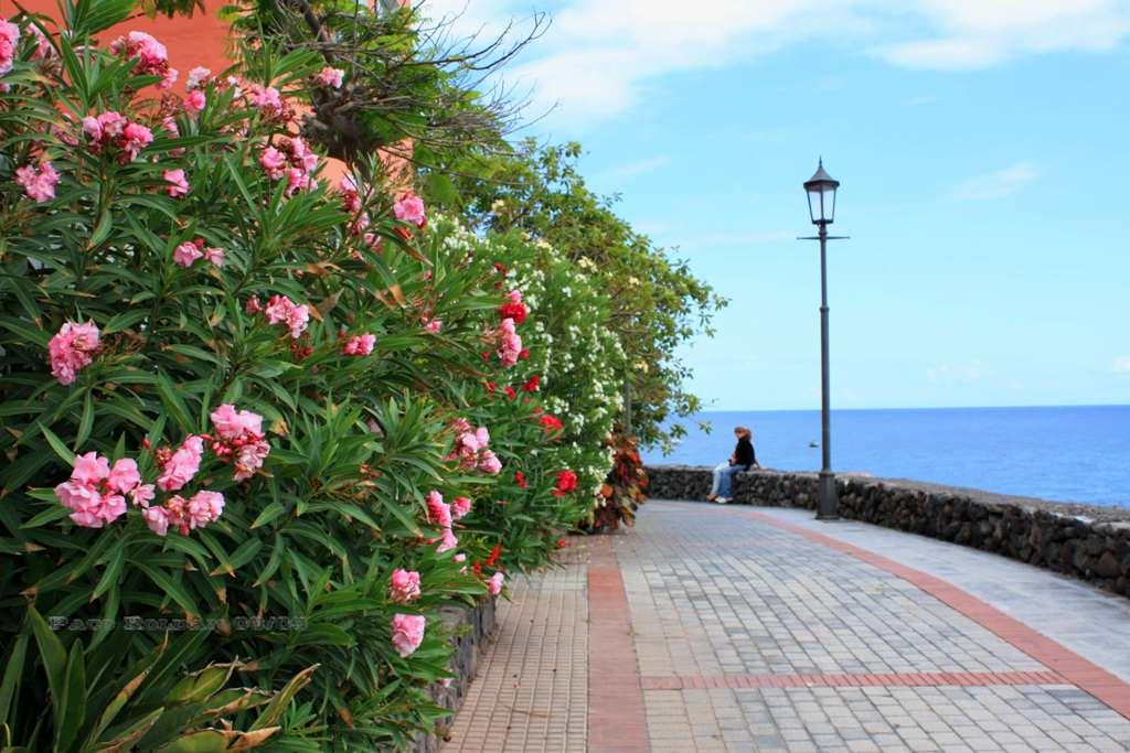 Foto de La Gomera (Santa Cruz de Tenerife), España