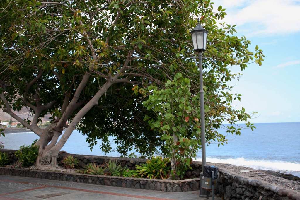 Foto de La Gomera (Santa Cruz de Tenerife), España