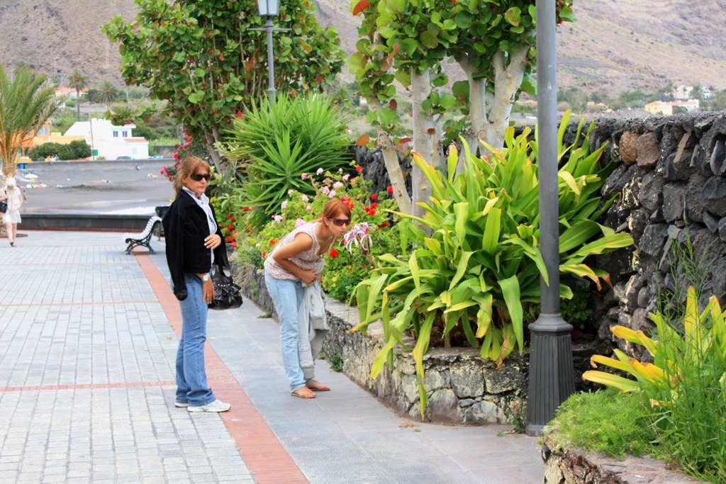 Foto de La Gomera (Santa Cruz de Tenerife), España