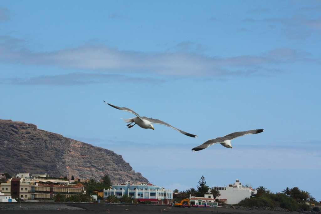 Foto de La Gomera (Santa Cruz de Tenerife), España