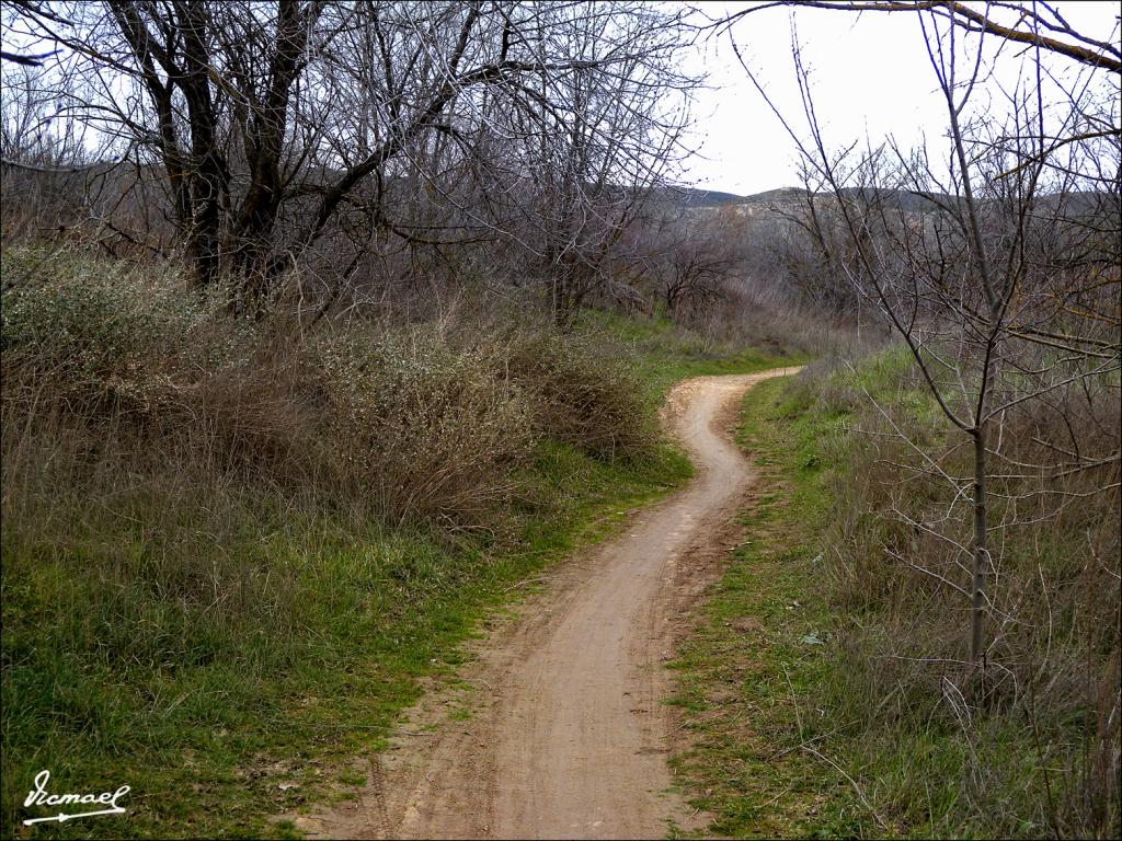 Foto de Zaragoza (Aragón), España