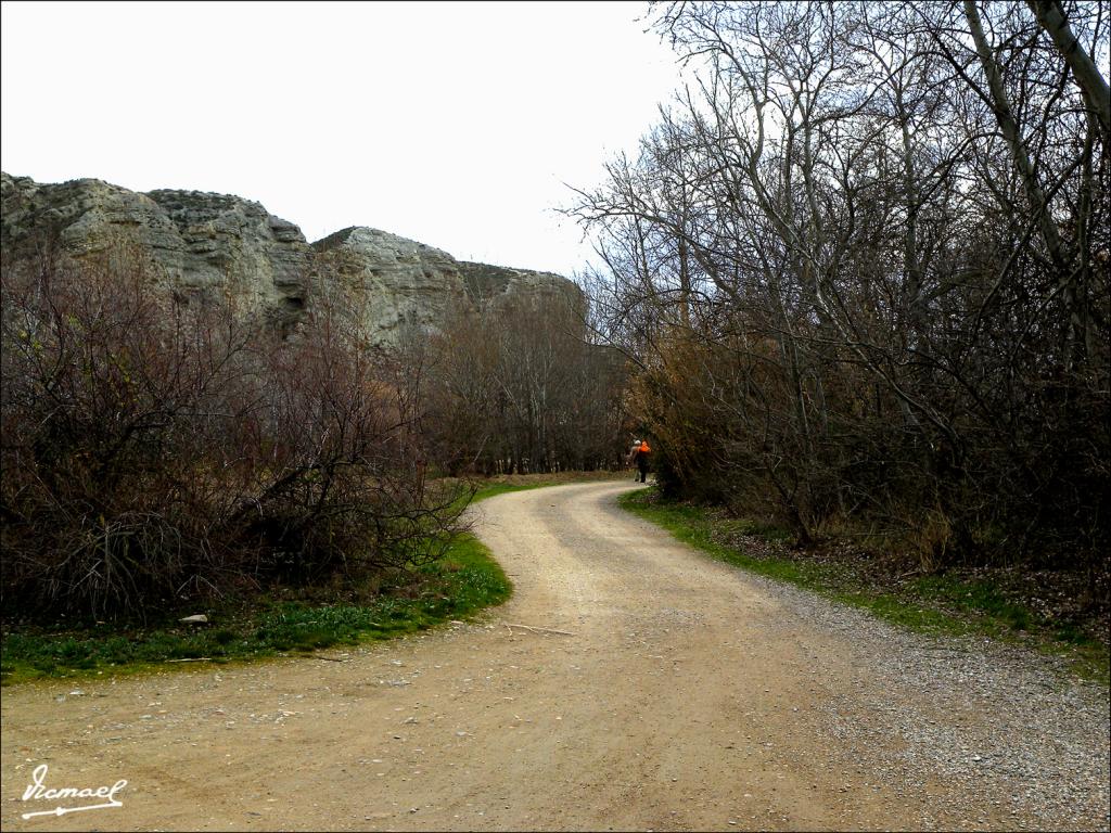 Foto de Zaragoza (Aragón), España