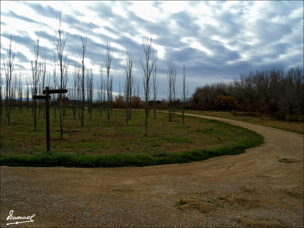 Foto de Zaragoza (Aragón), España