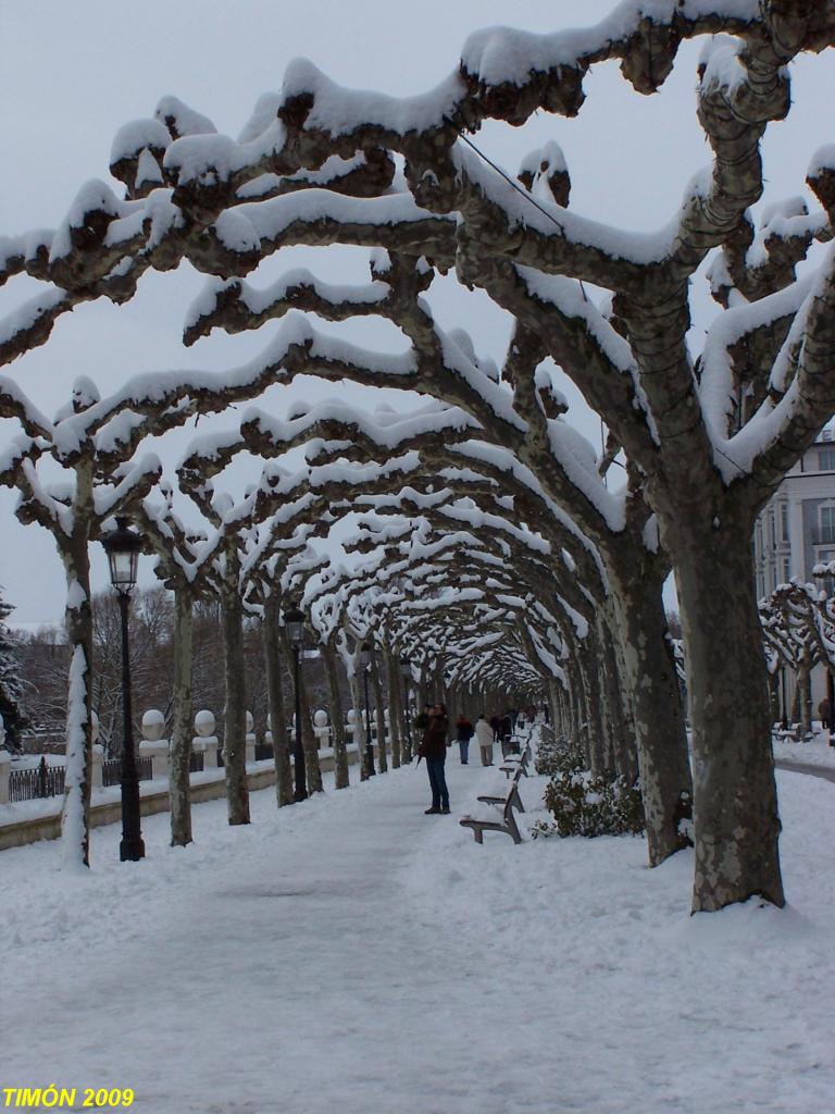 Foto de Burgos (Castilla y León), España