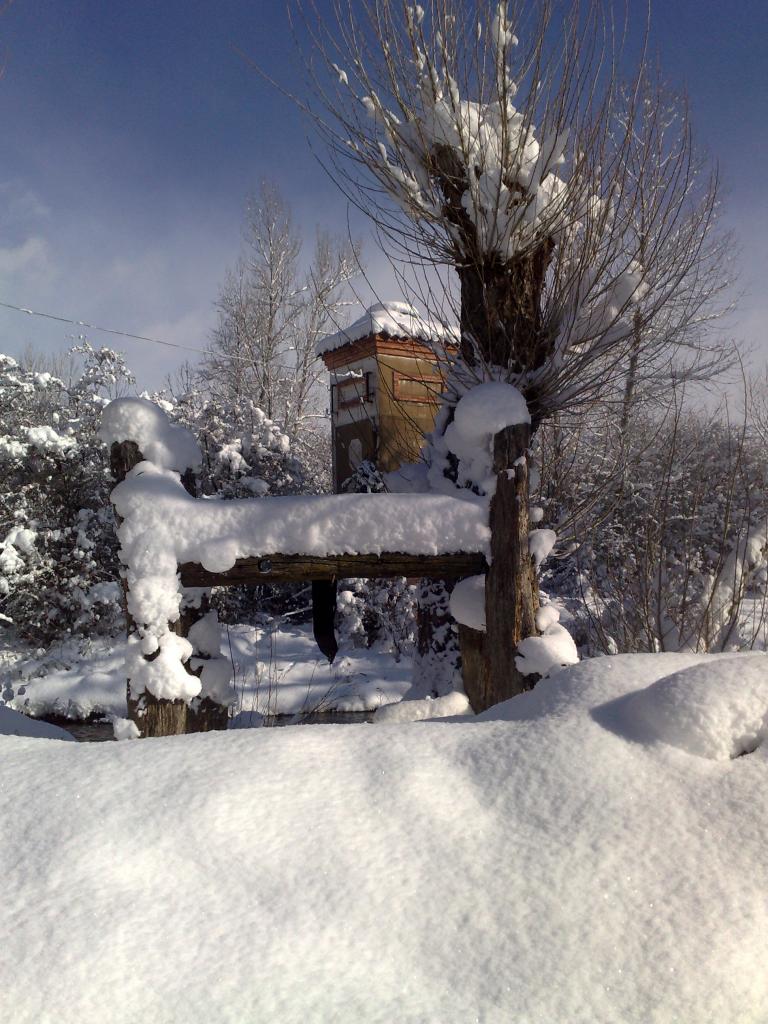 Foto de Barajores de la Peña (Palencia), España