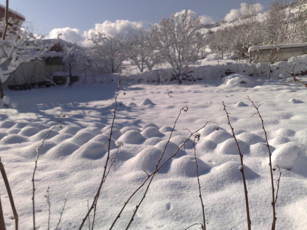 Foto de Barajores de la Peña (Palencia), España