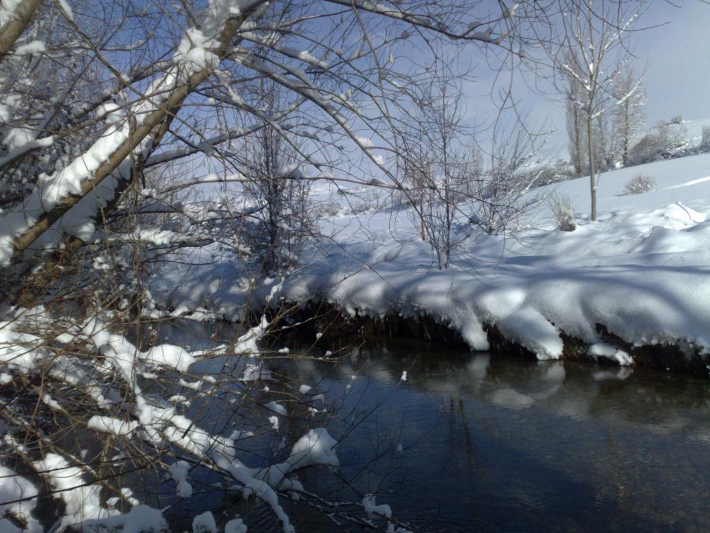 Foto de Barajores de la Peña (Palencia), España