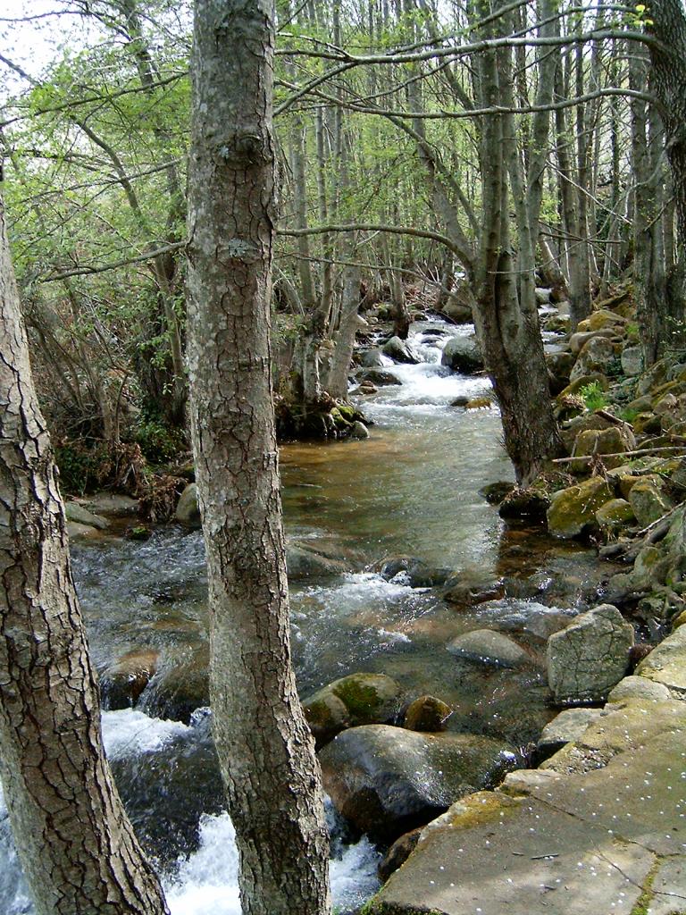 Foto de Valdatillas (Cáceres), España