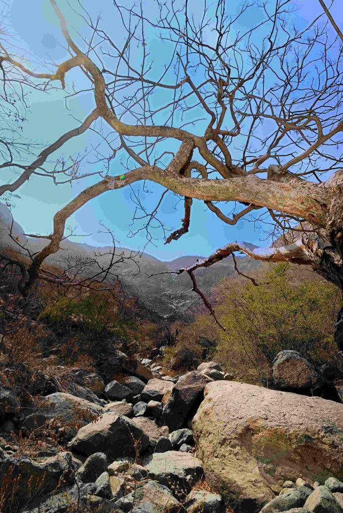 Foto de Santo Domingo de Olmos, Perú