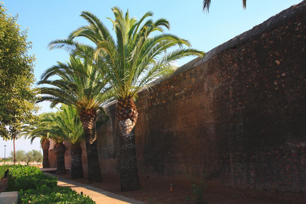 Foto de Mascarell (Castelló), España