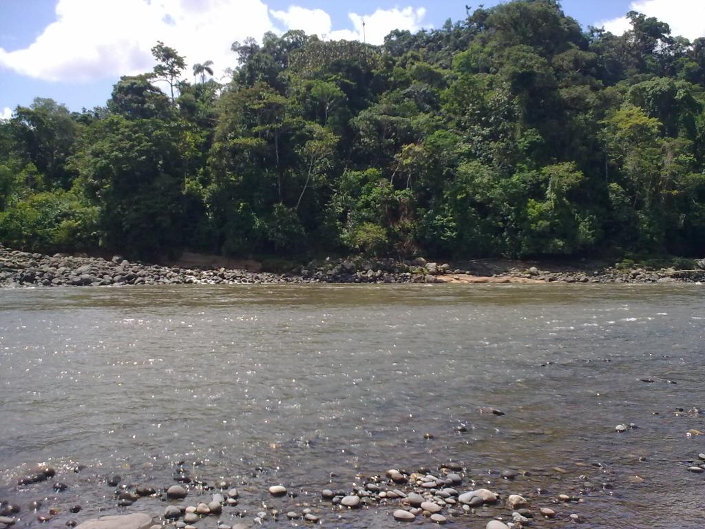 Foto de Puyo, Ecuador