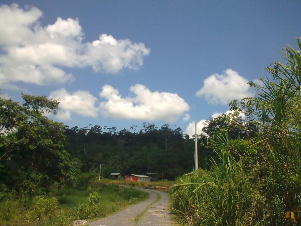 Foto de Puyo, Ecuador