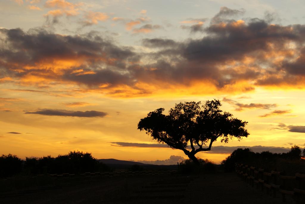 Foto de Santa Amalia (Badajoz), España