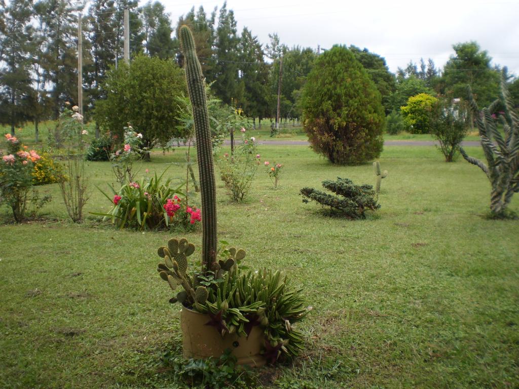 Foto de Arroyo Ceibal, Argentina