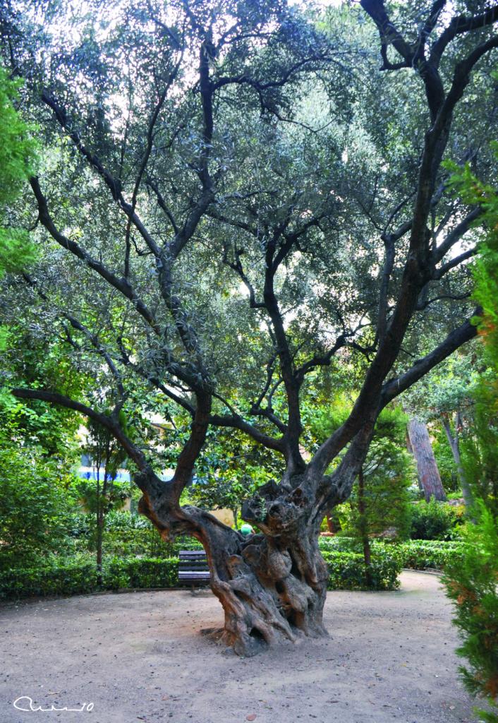 Foto de Valencia (València), España