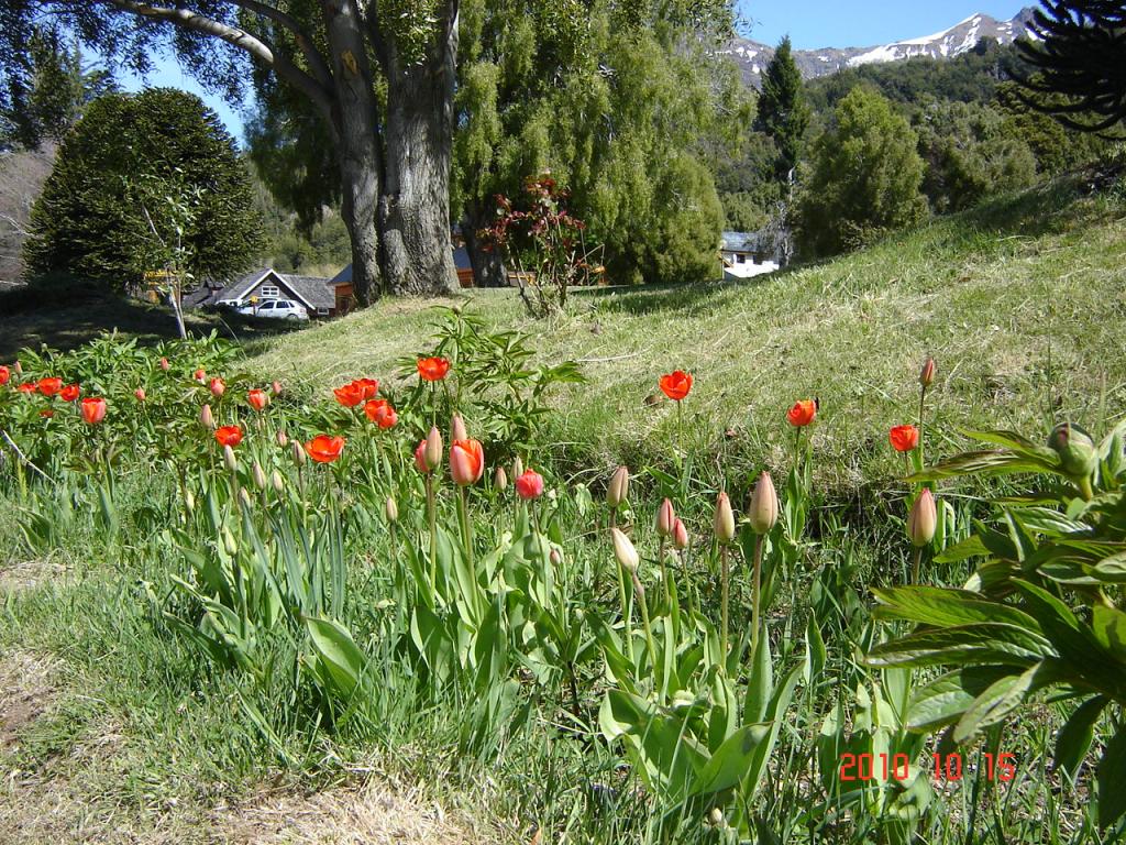 Foto de Esquel (Chubut), Argentina