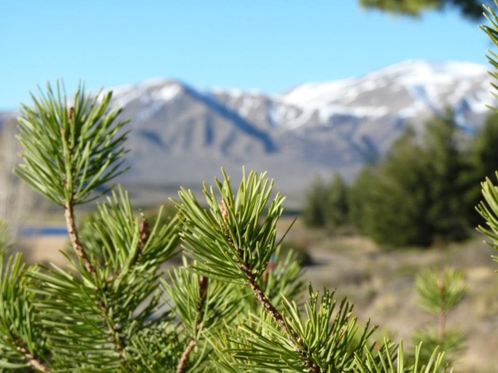 Foto de Esquel (Chubut), Argentina