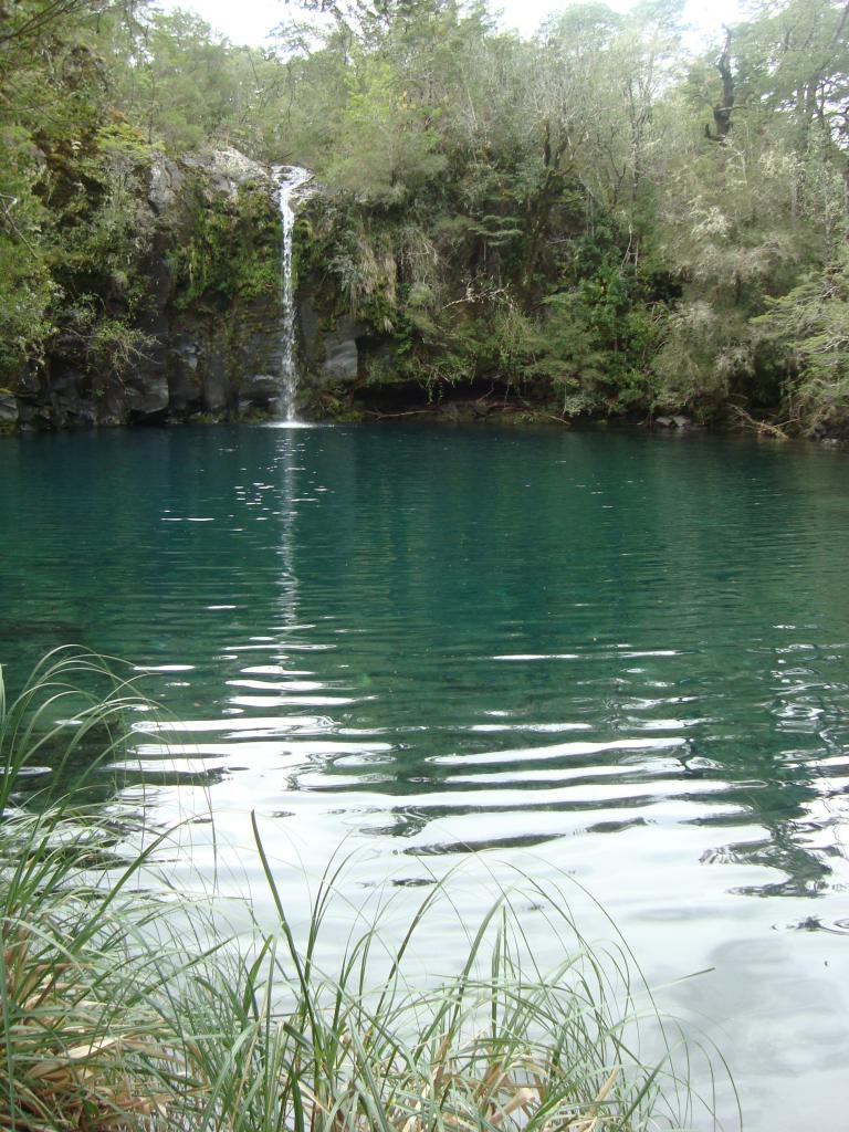 Foto de Saltos del Petrohue, Chile