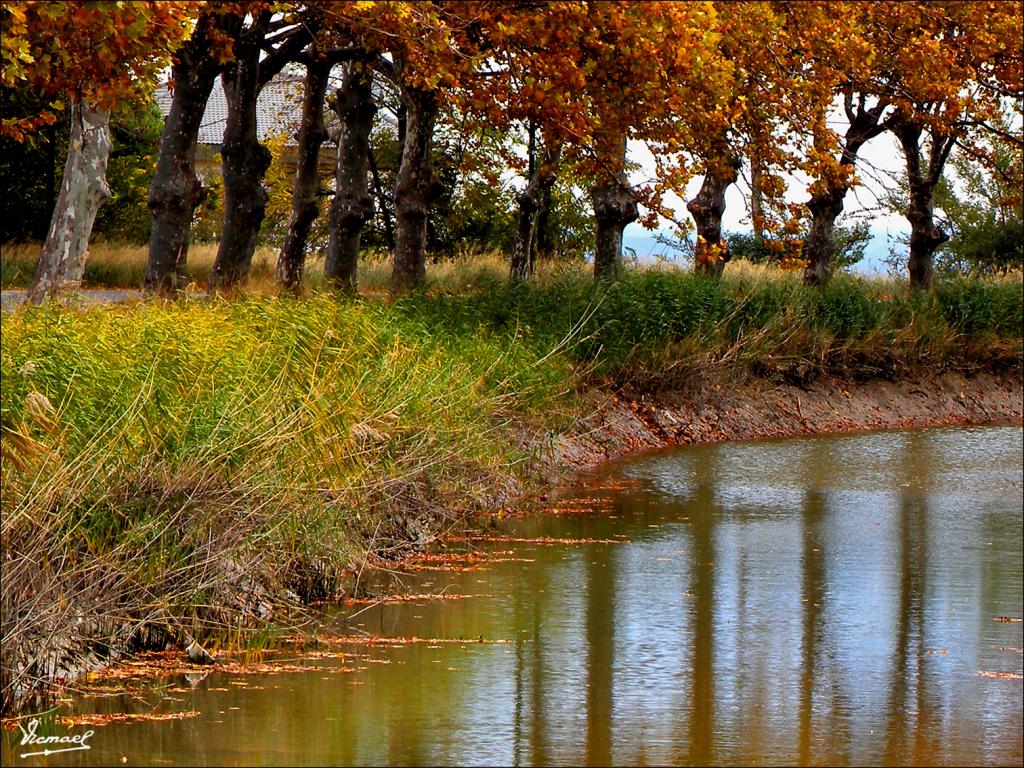 Foto de Zaragoza (Aragón), España