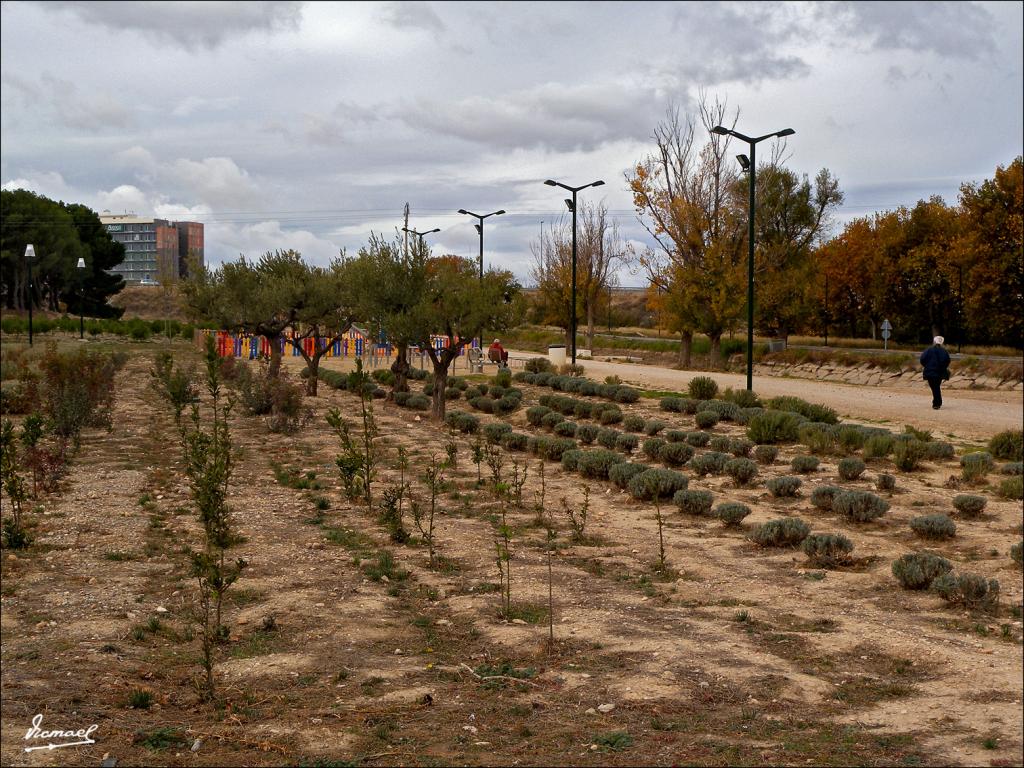 Foto de Zaragoza (Aragón), España