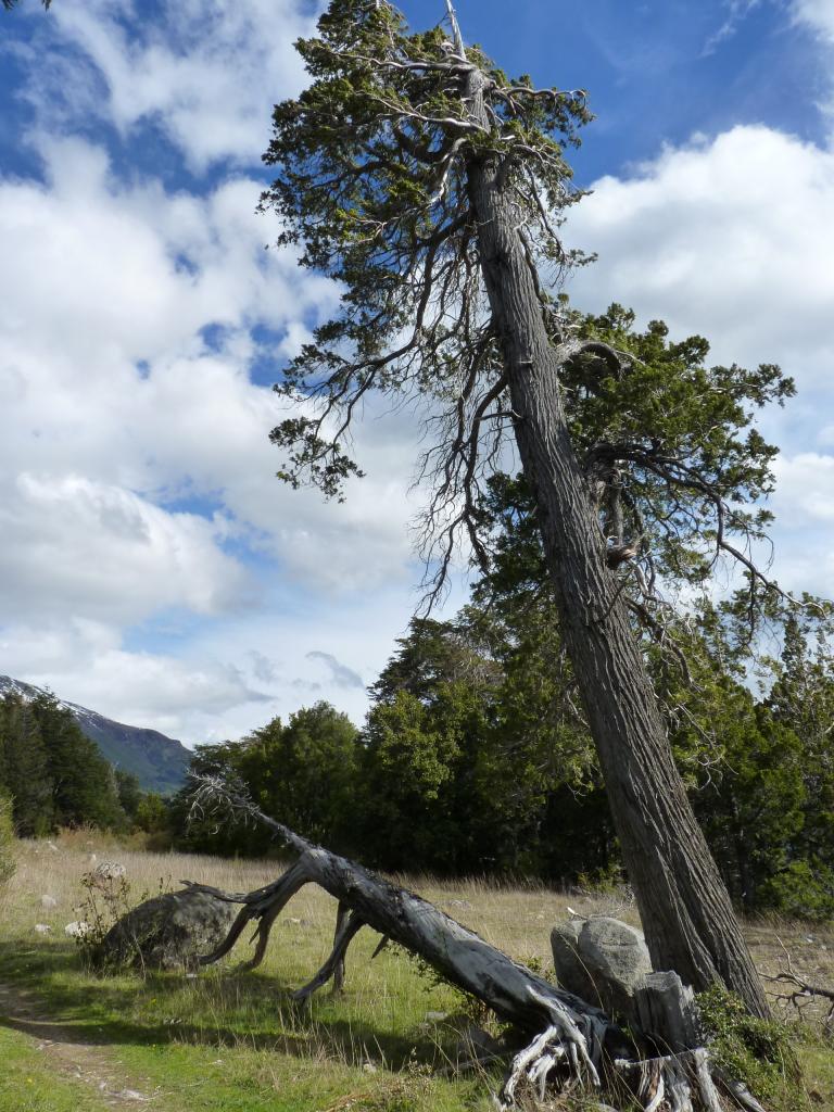 Foto de Esquel (Chubut), Argentina