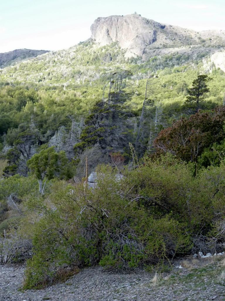 Foto de Esquel (Chubut), Argentina