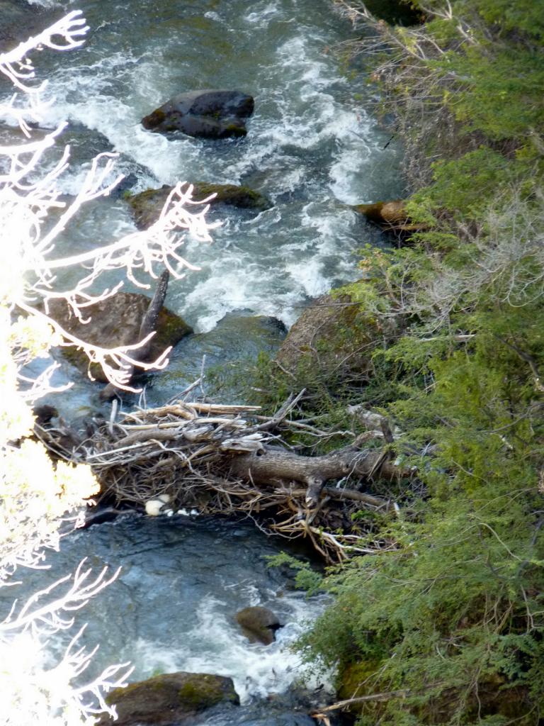 Foto de Trevelin (Chubut), Argentina