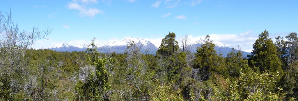 Foto de Trevelin (Chubut), Argentina