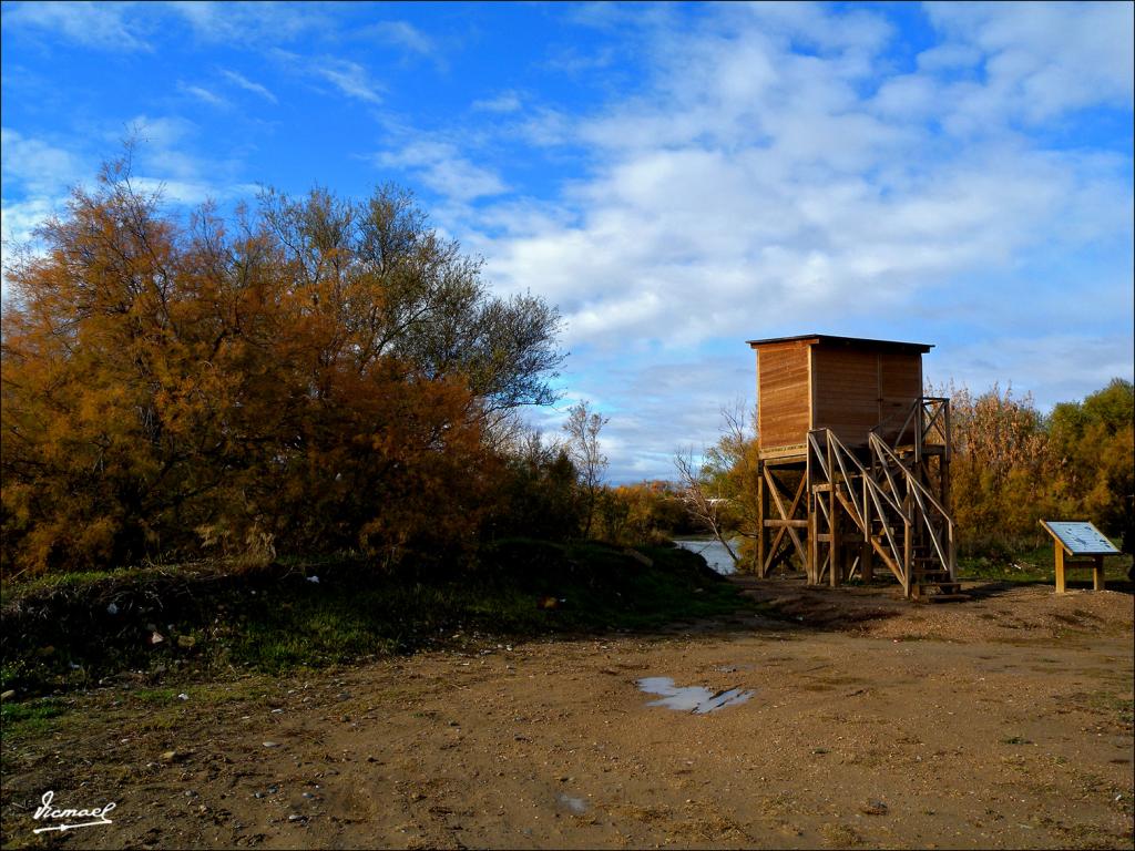 Foto de Zaragoza (Aragón), España