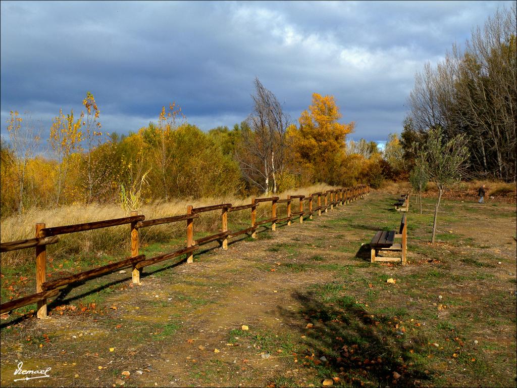 Foto de Zaragoza (Aragón), España