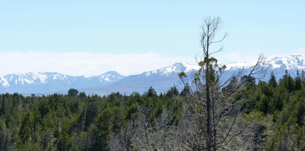 Foto de Esquel (Chubut), Argentina