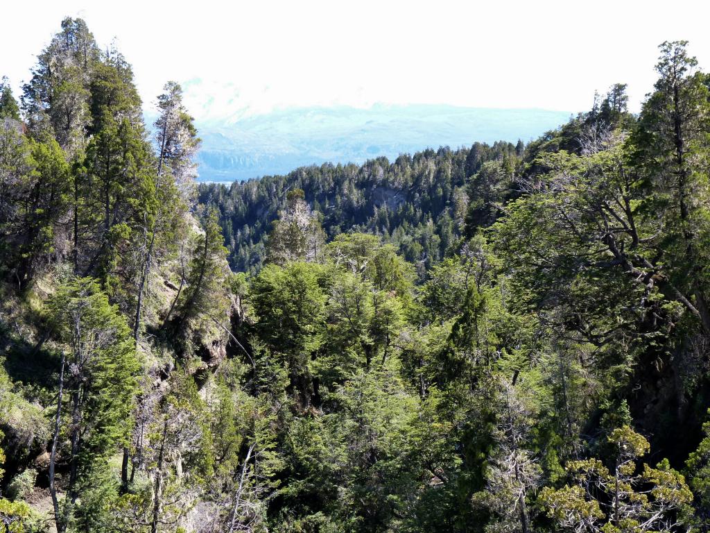 Foto de Esquel (Chubut), Argentina