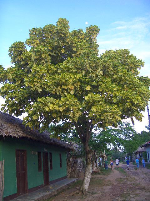 Foto de Monteria, Colombia