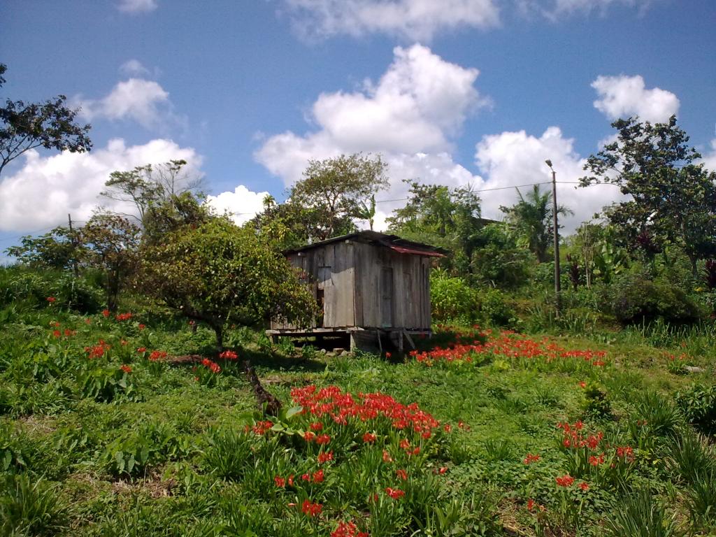 Foto de Simón Bolívar (Mushullacta), Ecuador