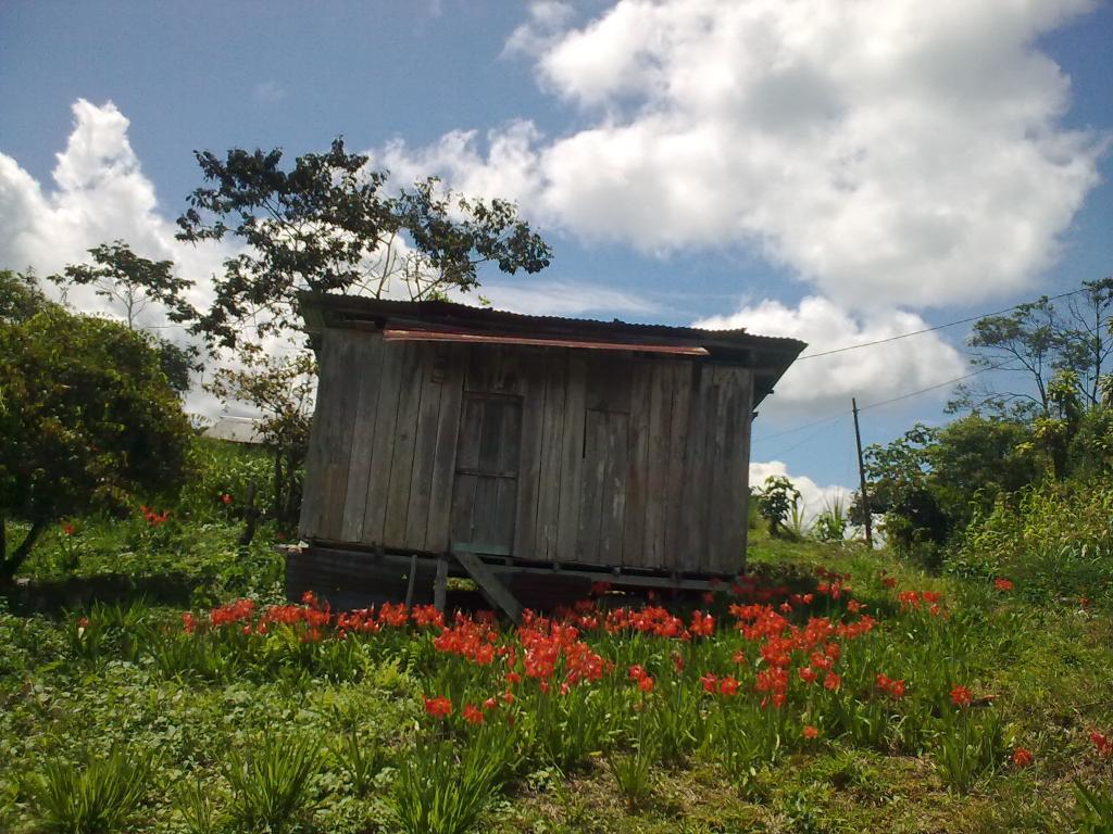 Foto de Simón Bolívar (Mushullacta), Ecuador