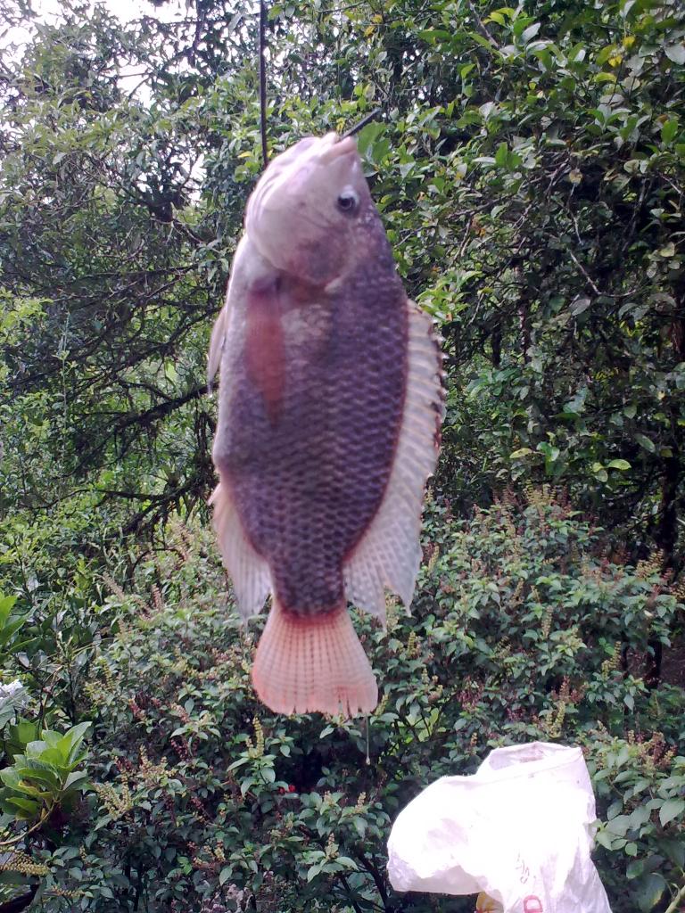 Foto de Shell,, Ecuador