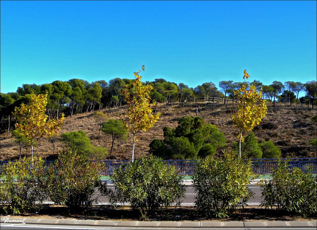 Foto de Zaragoza (Aragón), España