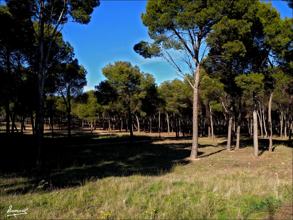 Foto de Zaragoza (Aragón), España