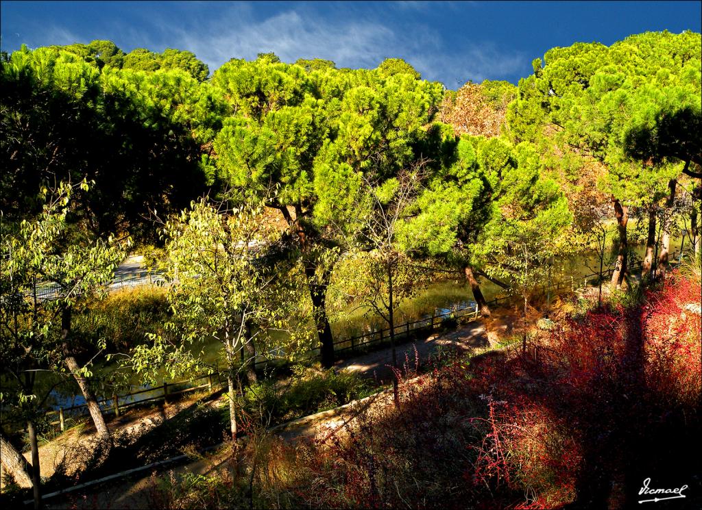 Foto de Zaragoza (Aragón), España