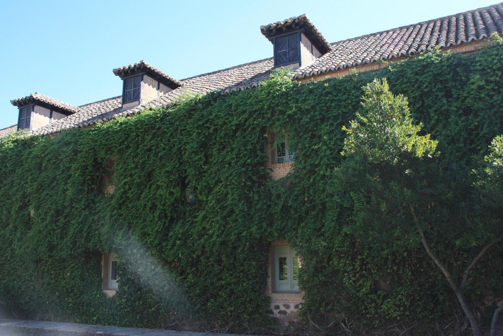 Foto de Almagro (Ciudad Real), España