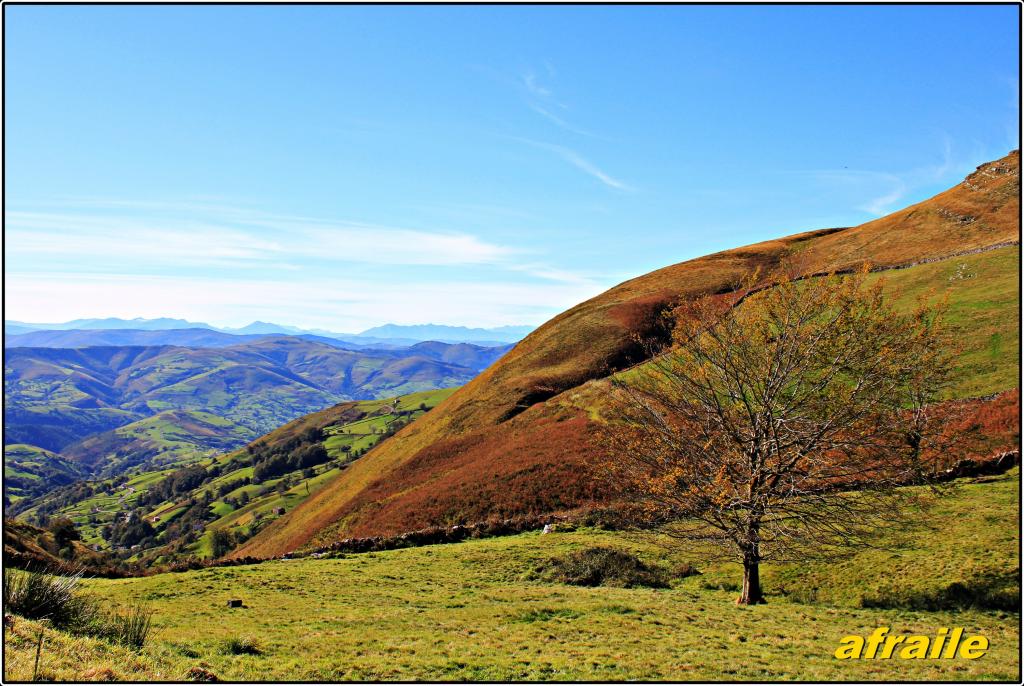 Foto de Campillo (Cantabria), España