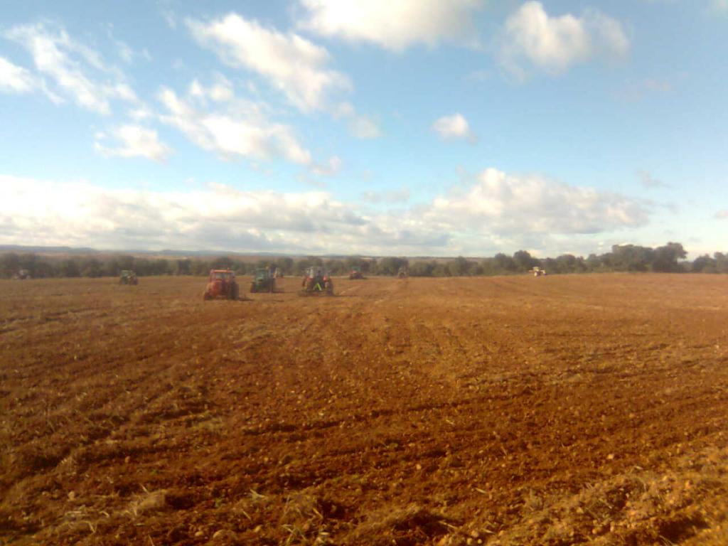 Foto de Milles de la Polvorosa (Zamora), España