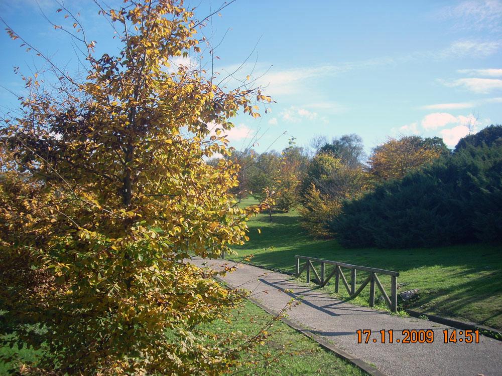 Foto de Oviedo (Asturias), España